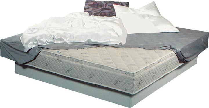 Produktbild Tasso Original -Wasserbett (160 x 220 cm)