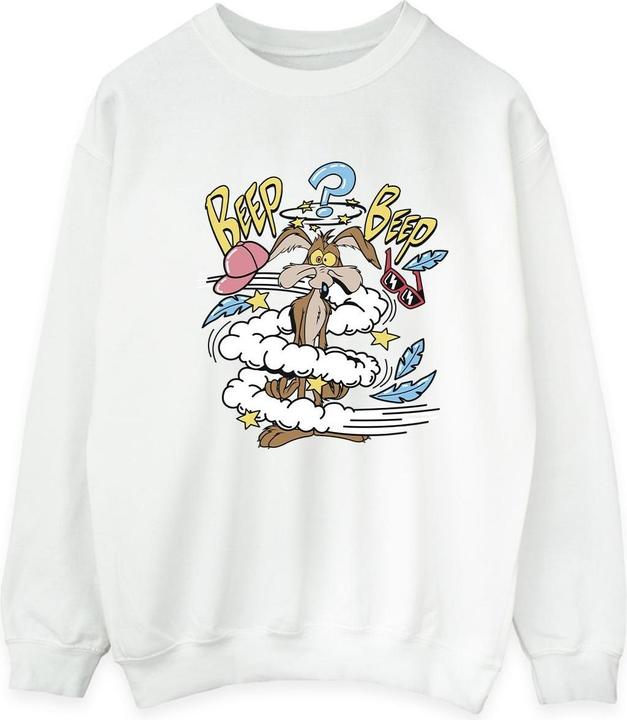 Looney Tunes Coyote Daze Sweatshirt (L)
