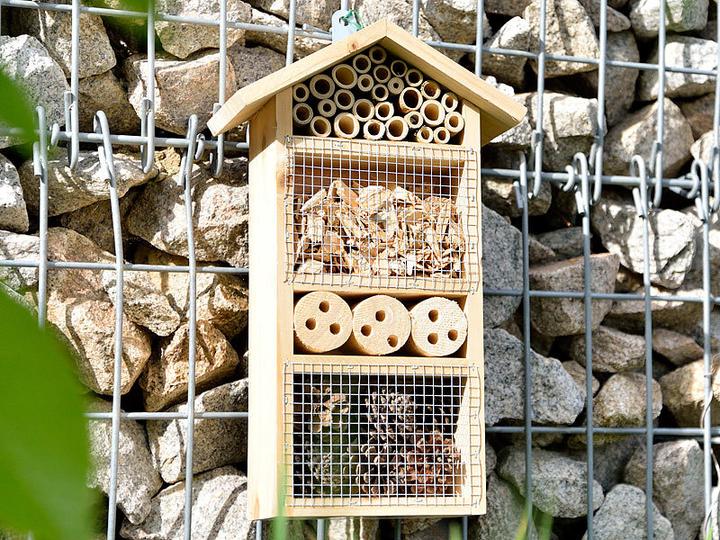 Image du produit Royal Gardineer Hôtel pour insectes Flora - Aide à la nidification pour les insectes utiles (Chrysanthèmes, Coccinelles, Guêpes creuseuses, Abeilles sauvages)