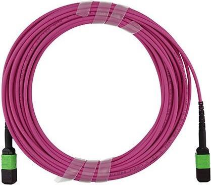 Actual product image BlueOptics Fibre optic MPO/APC-8xLC/UPC breakout cable OM4 1 metre
