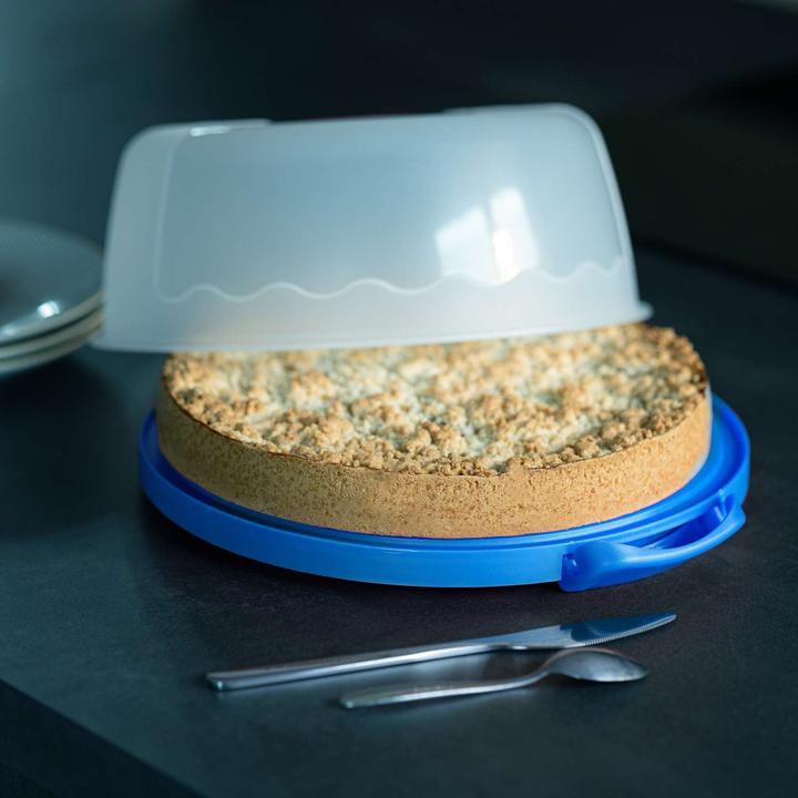 Actual product image Intirilife Cake transport container