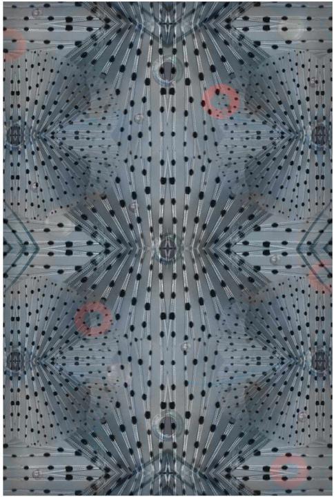 Moooi Flying Coral Fish Teppich