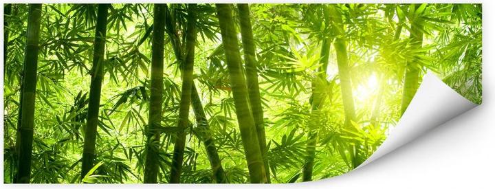 Produktbild Trenddeko Sonnenschein im Bambuswald (80 x 30 cm, 100 x 40 cm, 120 x 50 cm, 150 x 60 cm, 200 x 80 cm, 60 x 20 cm)