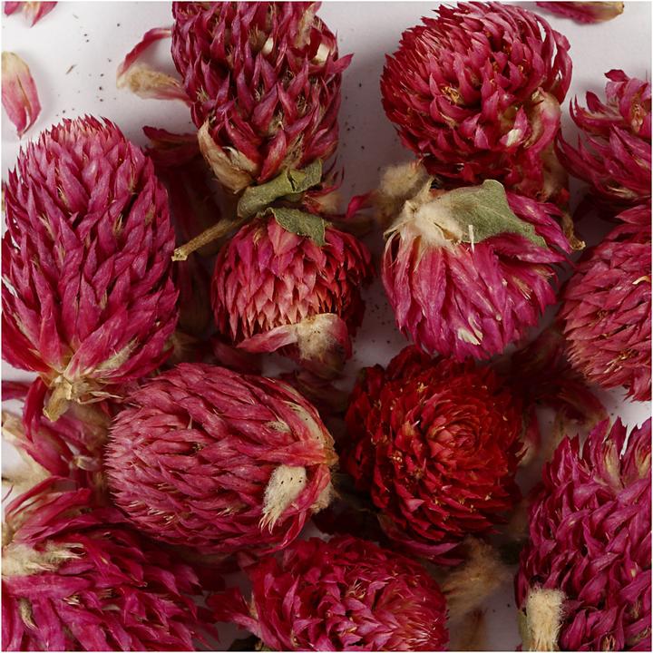 Image du produit Creativ Company Fleurs 15 g, Trèfle rouge (Fleurs séchées)