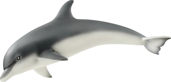 Actual product image Schleich Dolphin