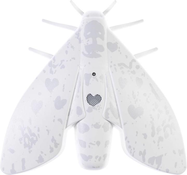 Actual product image Jalo Lento 10