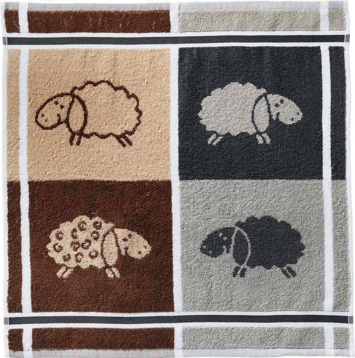 Produktbild Kracht Frottier-Geschirrtuch im 2er-Pack (50 x 50 cm)