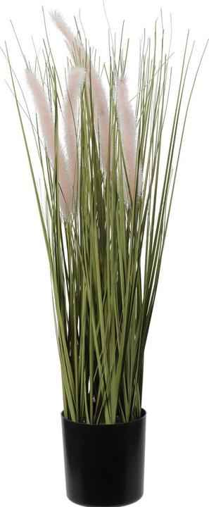 Immagine prodotto Home&Styling Erba artificiale ornamentale, 55 cm (55 cm)