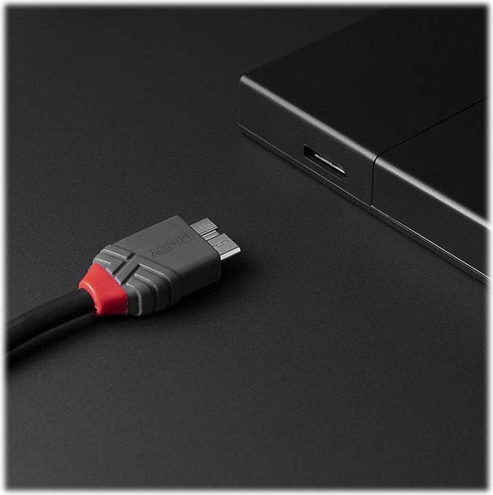 Actual product image Lindy USB 3.2 Type C to Micro-B Cable, Anthra Line (0.50 m)