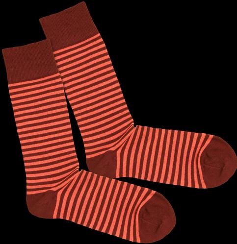 DillySocks Ring (Une unité par pack)