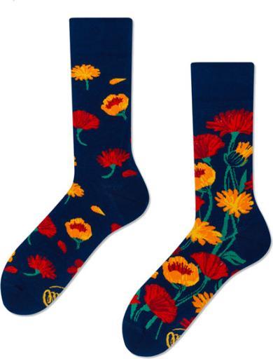 Actual product image Many Mornings Flower Power (Single pack, 43 - 46)