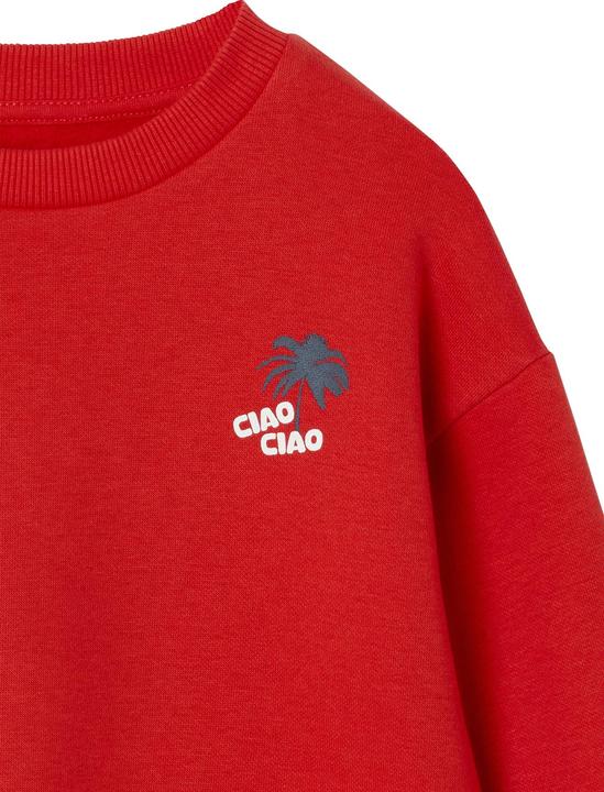Immagine prodotto Vertbaudet Jungen Sweatshirt mit Urlaubsmotiv hinten, Recycling-Polyester (140)