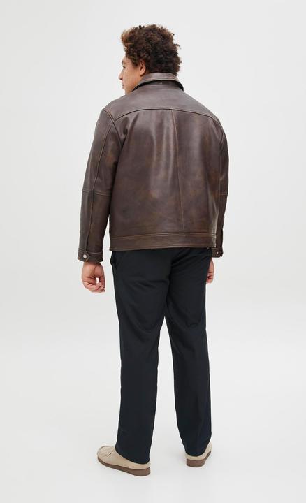 Actual product image Jack & Jones Plus Size Tapered Fit Karottenhosen Karottenhosen (46)