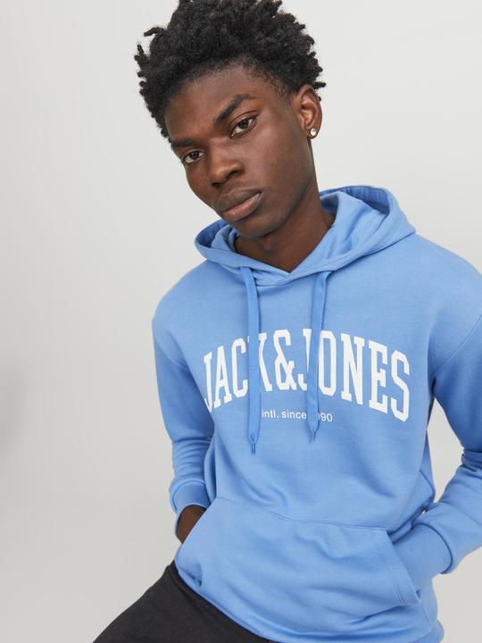 Image du produit Jack & Jones Hoodie (M)