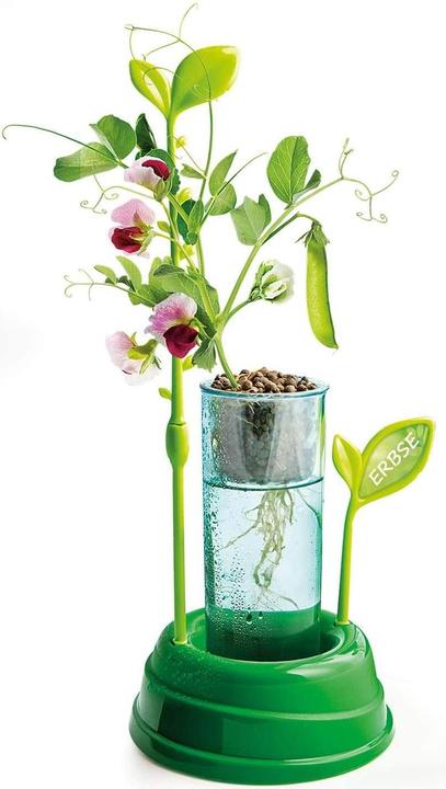 Immagine prodotto Clementoni Botanica e idroponica