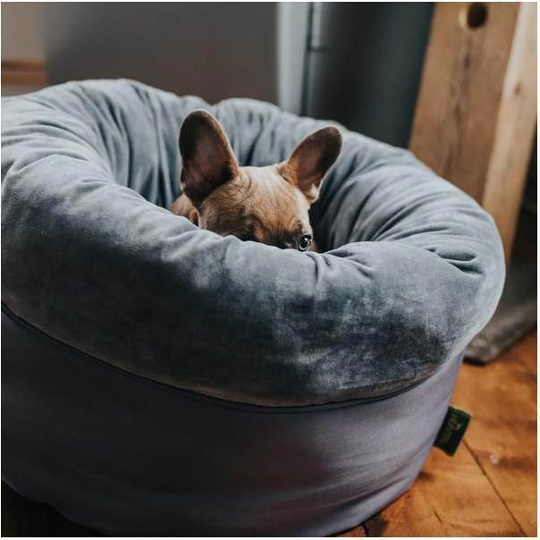 Immagine prodotto Hunter Dormiente per cani e gatti Miranda (Cane, Gatto)