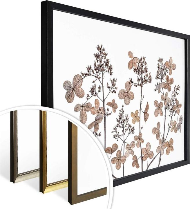 Actual product image Trenddeko Dried flowers (100 x 80 cm)