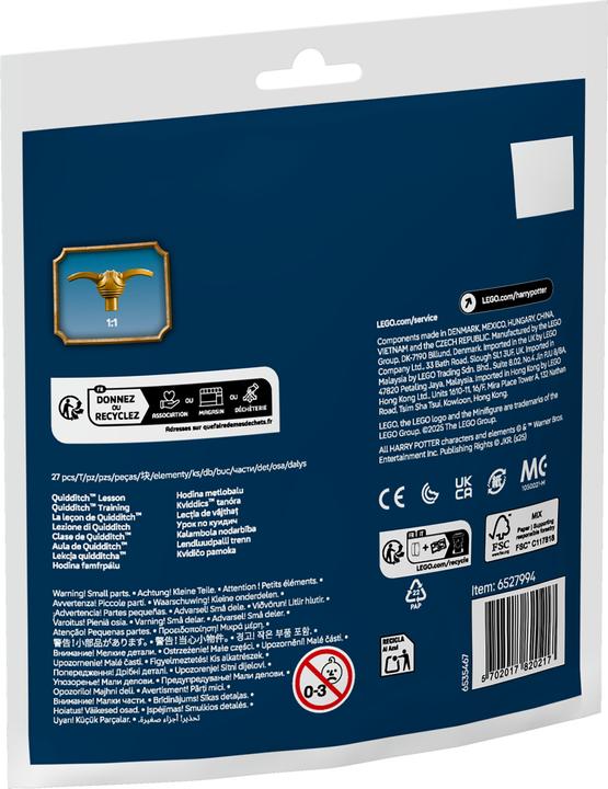 Productafbeelding LEGO Zwerkbaltraining (30706, LEGO Harry Potter)
