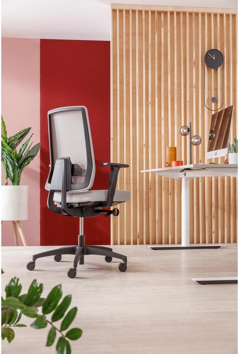 Produktbild Dauphin Indeed Mesh