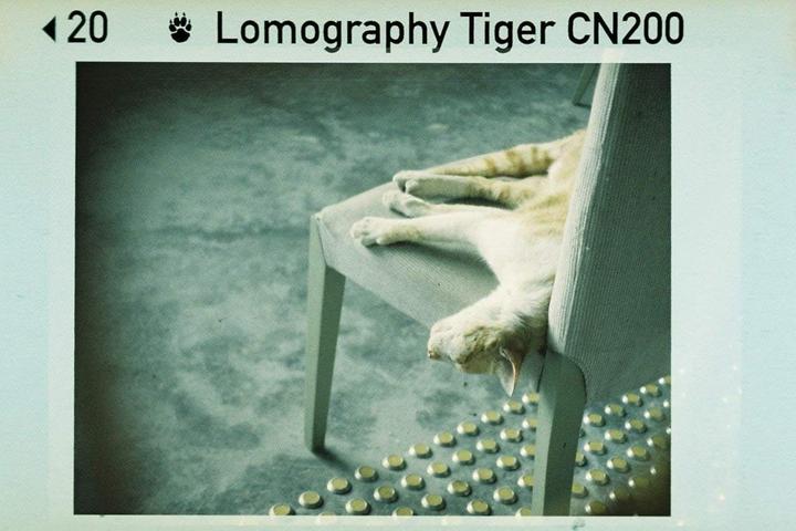 Immagine prodotto Lomo Colore Tiger 110