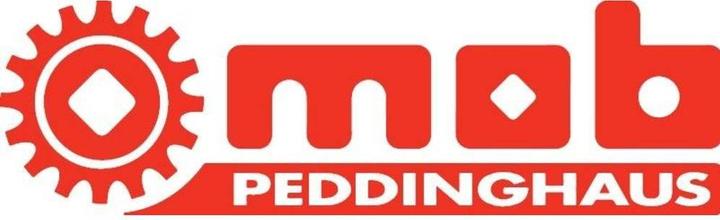 Immagine prodotto Peddinghaus Set di punteruoli 'Mekanix' da 16 pezzi