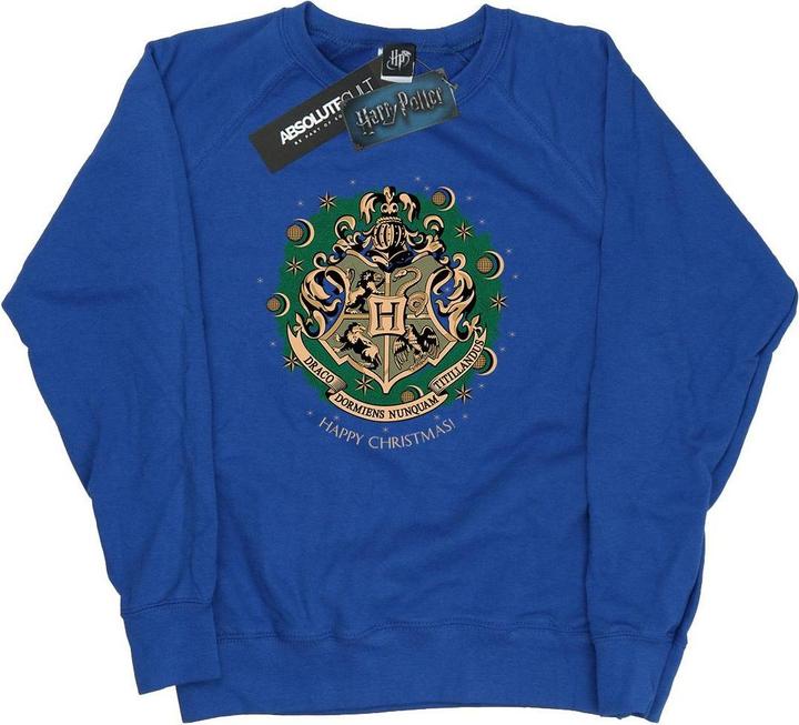 Actual product image Womens/Ladies Christmas Wreath Sweatshirt (L)