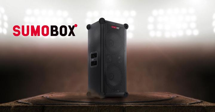 Actual product image Sharp CP-LS100 BT Party Speaker black (10 h, Rechargeable battery operated, Electrical connection)