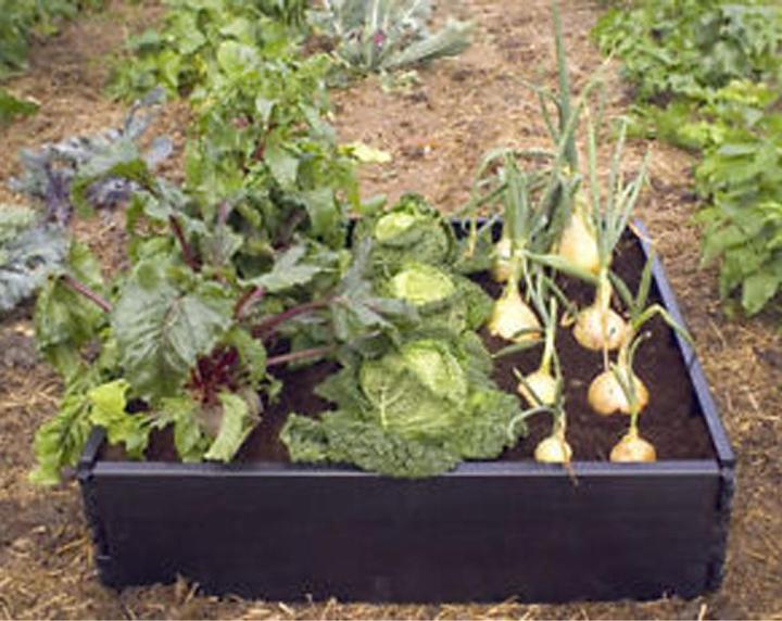 Image du produit Garland Grow Bed