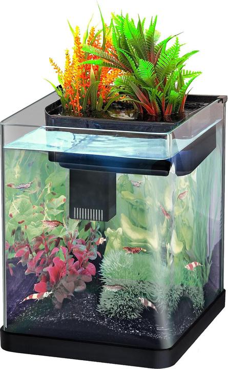 Produktbild Amazonas Nano Plant (20 l)