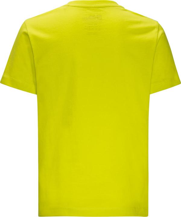 Actual product image Jack Wolfskin Boy's Wolf & Van (128)