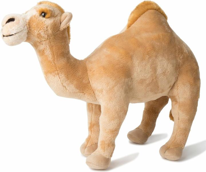 Produktbild WWF Dromedar (27 cm)