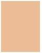Actual product image Dior Forever Skin Glow 24H Radiant Foundation (3N Neutral)