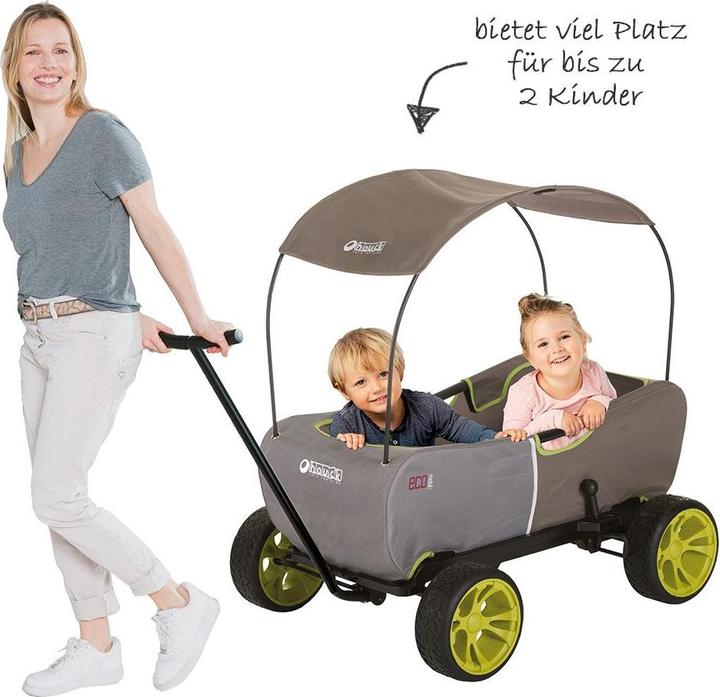 Actual product image Hauck Toys for Kids handcart handcart Eco Mobile - foldable with roof