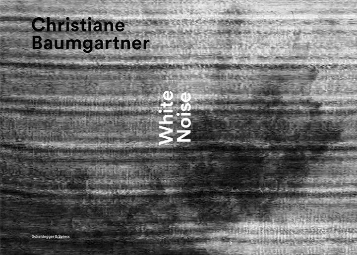 Image du produit Christiane Baumgartner - Bruit blanc (Allemand, Français, Christiane Baumgartner, Christian Rümelin, Thomas Oberender, Tobias deBraeleer, 2014)