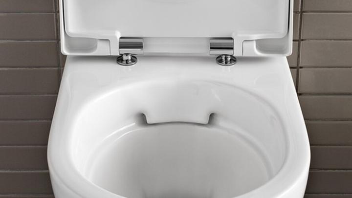 Actual product image Geberit Keramag / rimless low-level WC Acanto upright horizontal outlet white 500602012