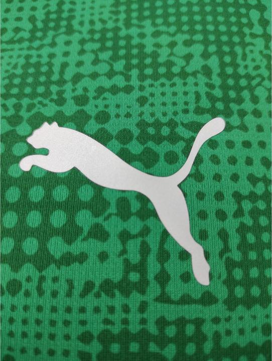 Actual product image Puma teamCUP Training Jersey (L)
