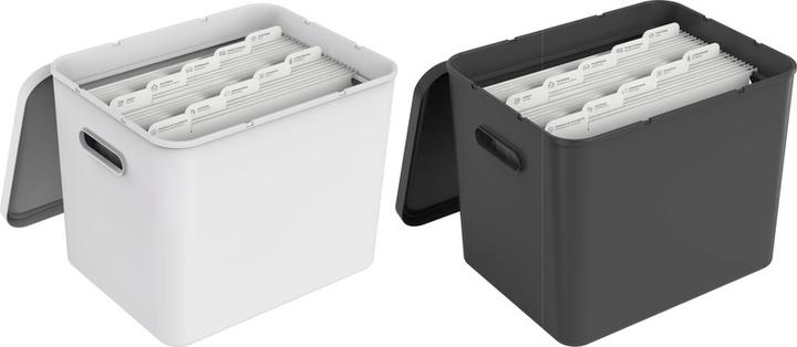 Immagine prodotto Rotho Scatola d'archivio My Paper Basic (A4)