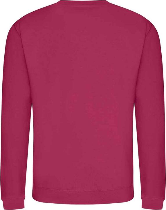Actual product image Awdis Adults Unisex Just Hoods Sweatshirt (XXL)