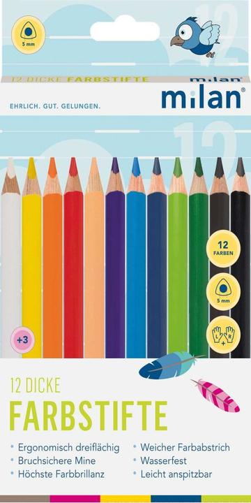 Actual product image 12 thick coloured pencils ergonomic, three-sided (Multicoloured, 12 x)