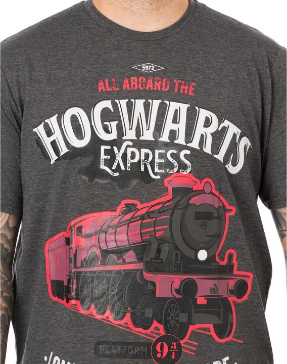 Actual product image Mens Hogwarts Express Long Pyjama Set (S)