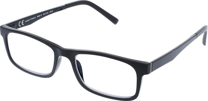 Invu Lesebrille B6221P (keine Korrektur)