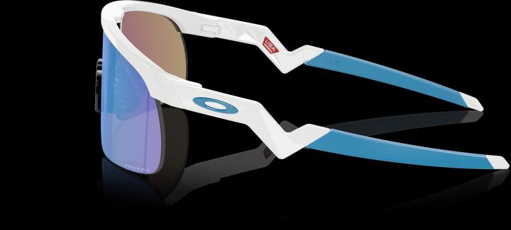 Actual product image Oakley Resistor (Polished White, Prizm Sapphire)