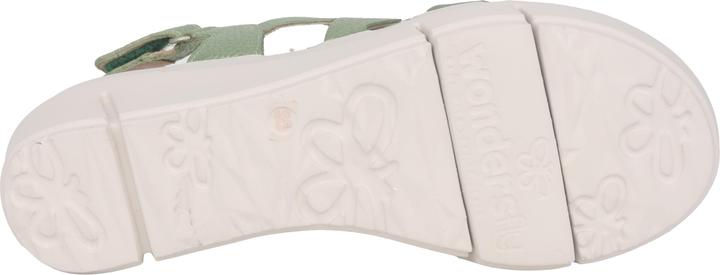 Image du produit Wonders Max (40)