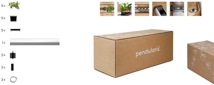 Image du produit Pendularis Set 0.5 Royal (50 cm)