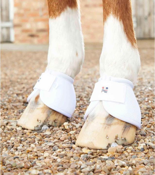Immagine prodotto Premier Equine Ballistic