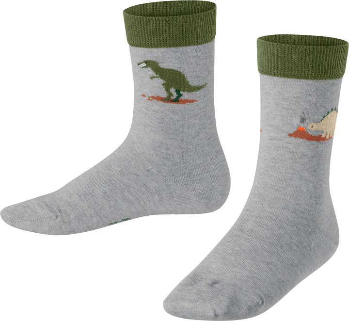 Falke Dinosaurs Kinder