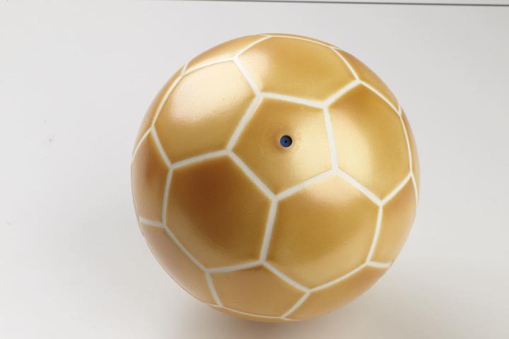 Produktbild Trial Trainingsball