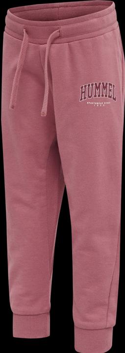 Image du produit hummel Pantalon Fast Apple (62)