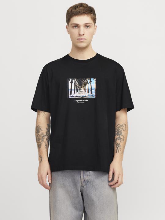 Actual product image Jack & Jones Jorvesterbro Picture Tee Ss Crew Neck Sn (L)