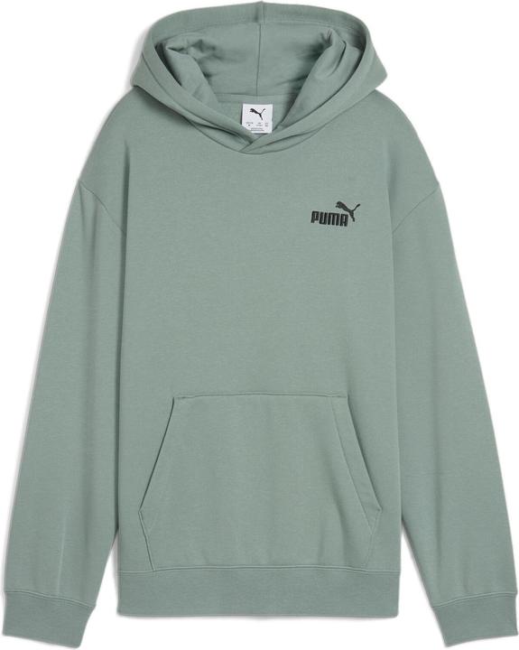 Puma ESS Small No. 1 Logo Relaxed Hoodie FL B